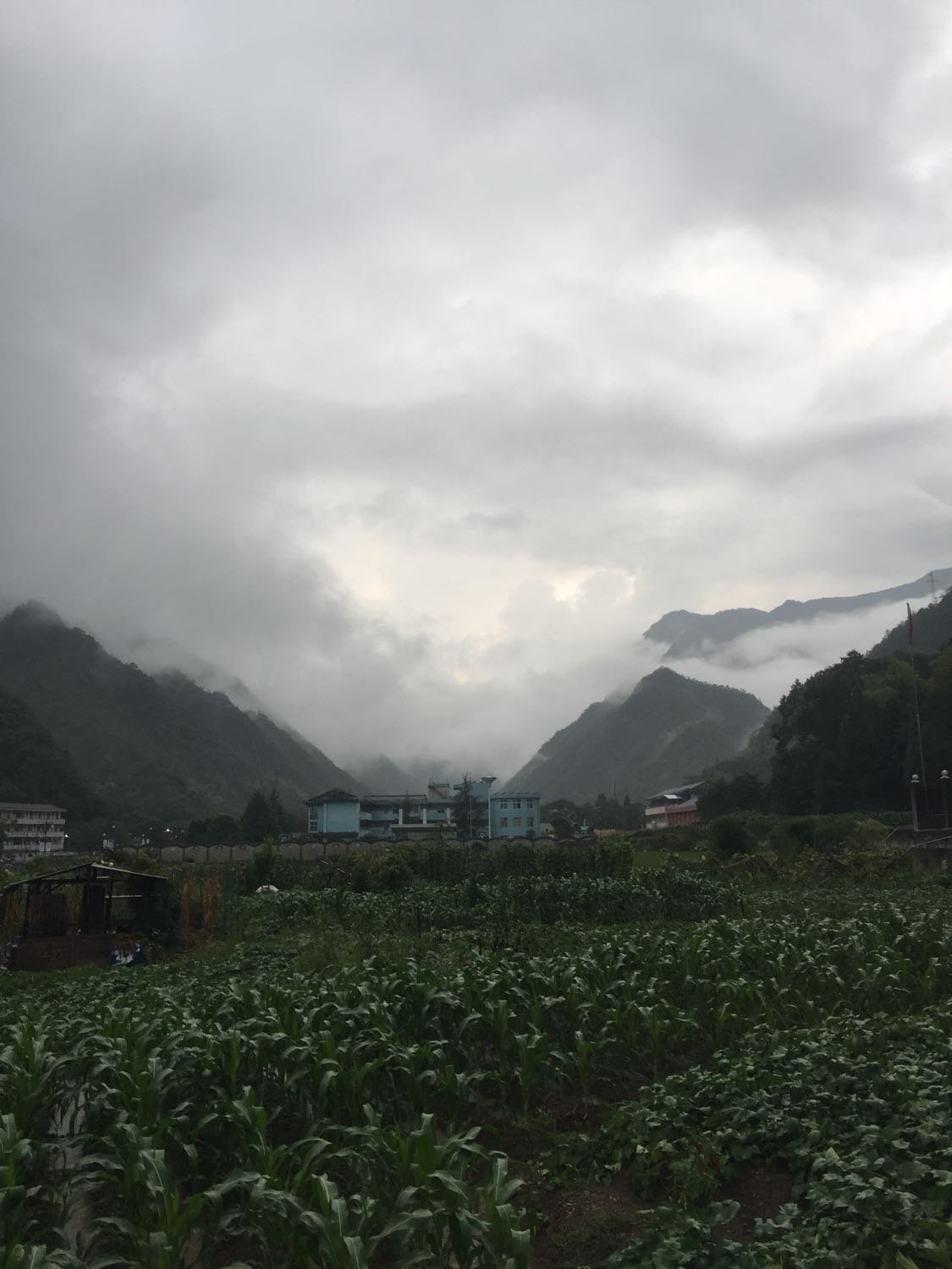 马边村天气预报更新通知