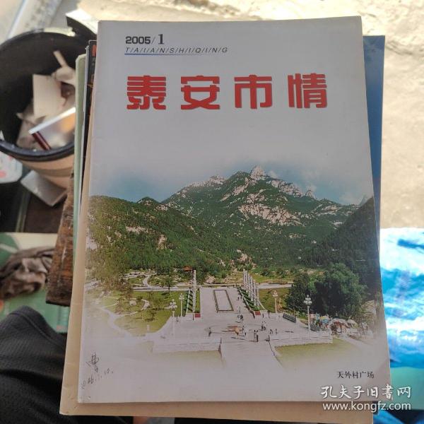 泰安市地方志编撰办公室新项目，传承历史之光，照亮未来发展之路