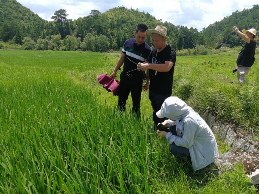 蕉城区财政局最新新闻深度解读