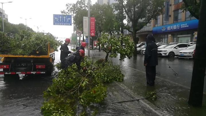 临海市农业农村局最新动态报道