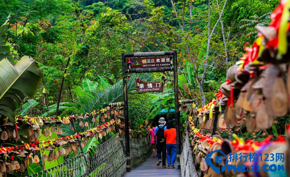 海南呀诺达雨林文化旅游区最新动态报道